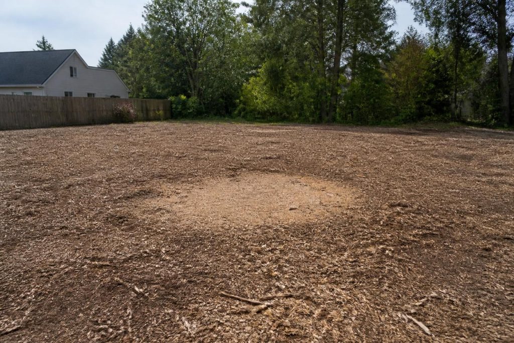 Freshly cleared lot with a stump removal result and open ground.