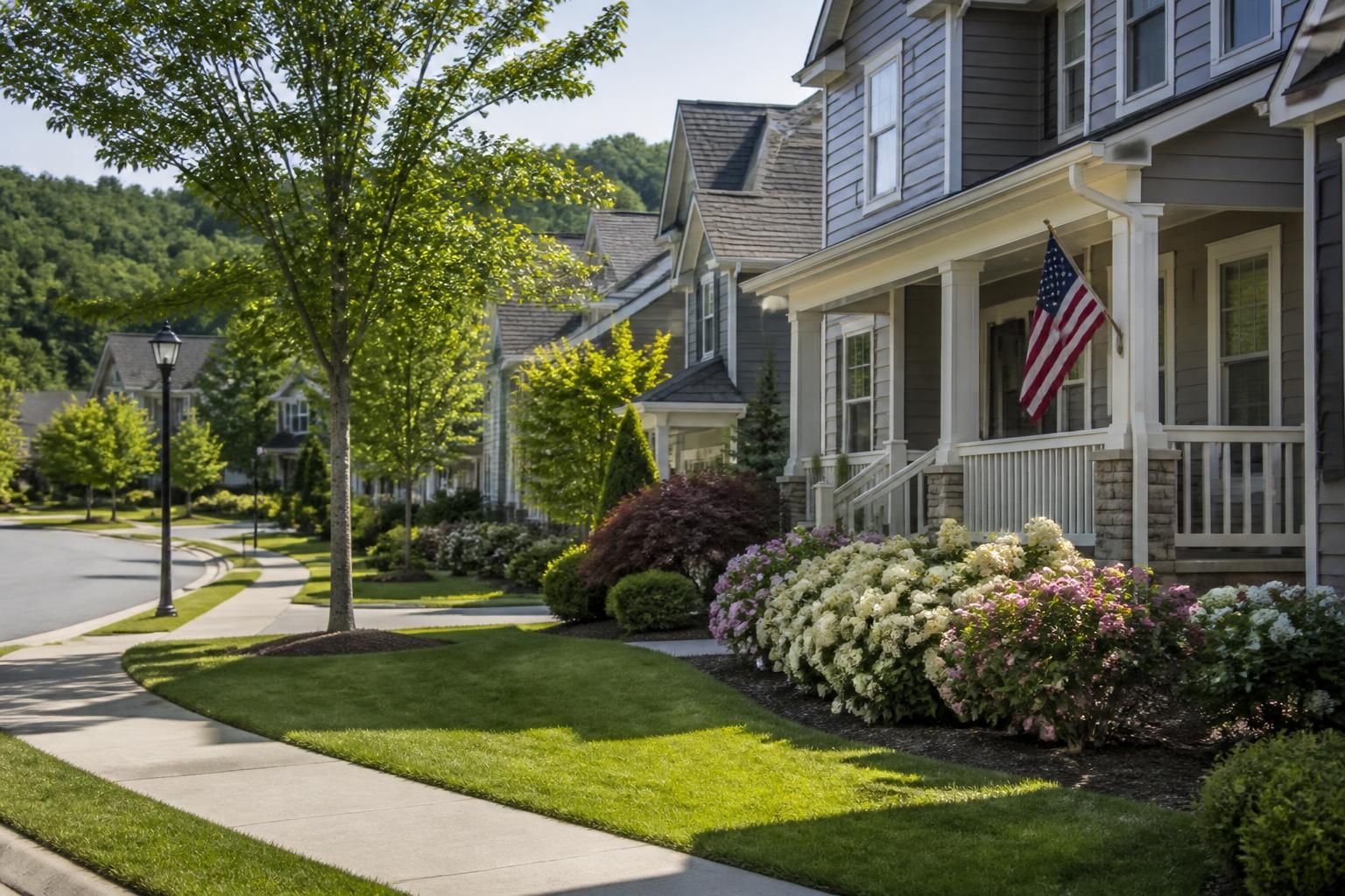 Suburban neighborhood with mature landscaping in Gainesville.