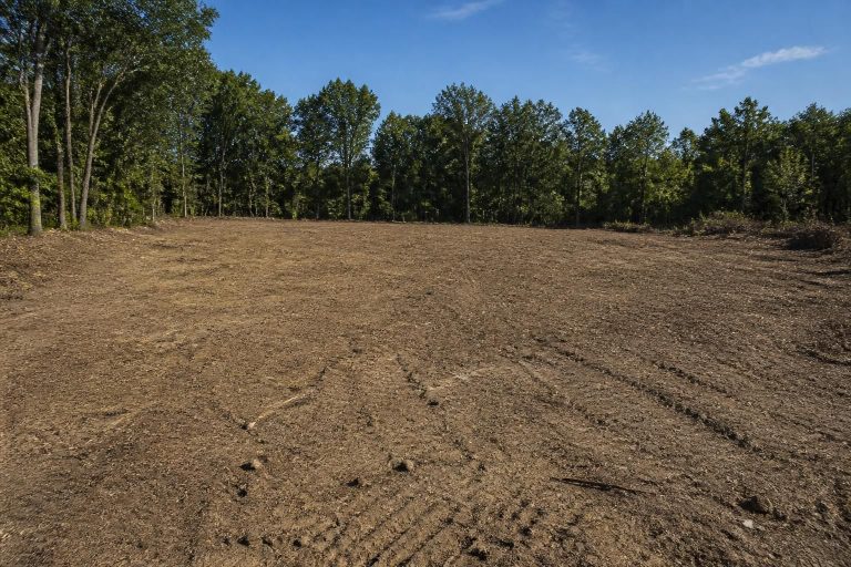 Land Clearing