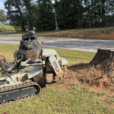 Stump Grinding