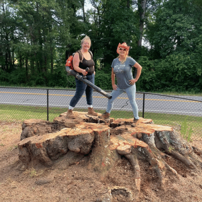 Tree Stump Removal
